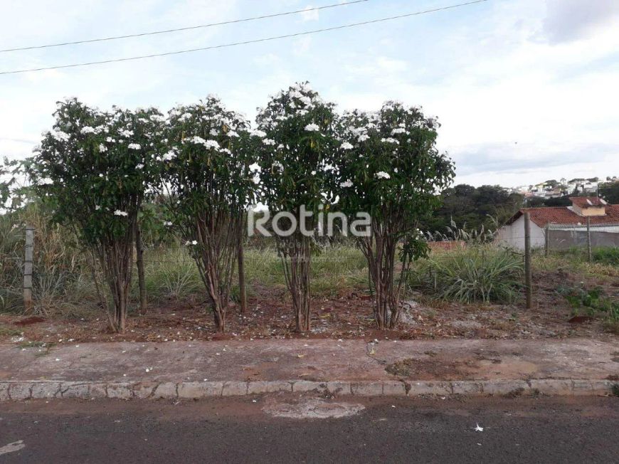 Terreno em uma excelente localização na Cidade Jardim