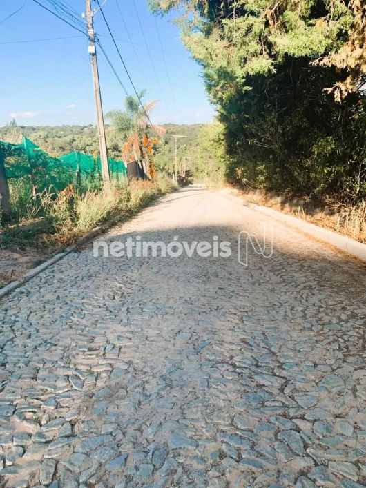 Venda Lote-Área-Terreno Vila Ipê Amarelo Contagem
