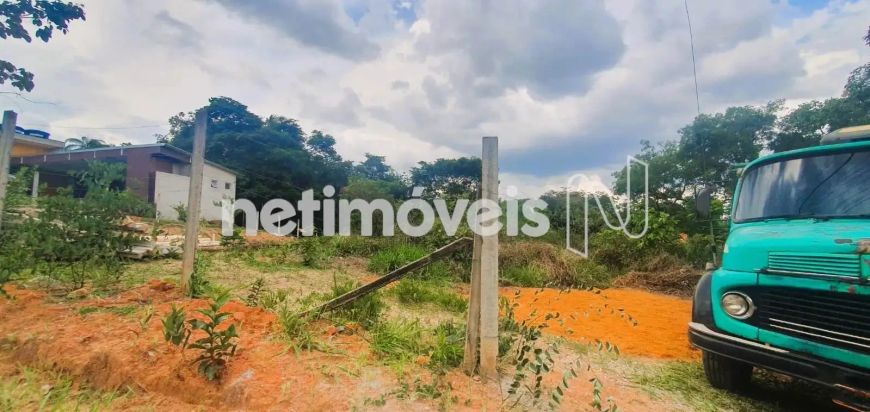 Venda Lote-Área-Terreno Vila Ipê Amarelo Contagem