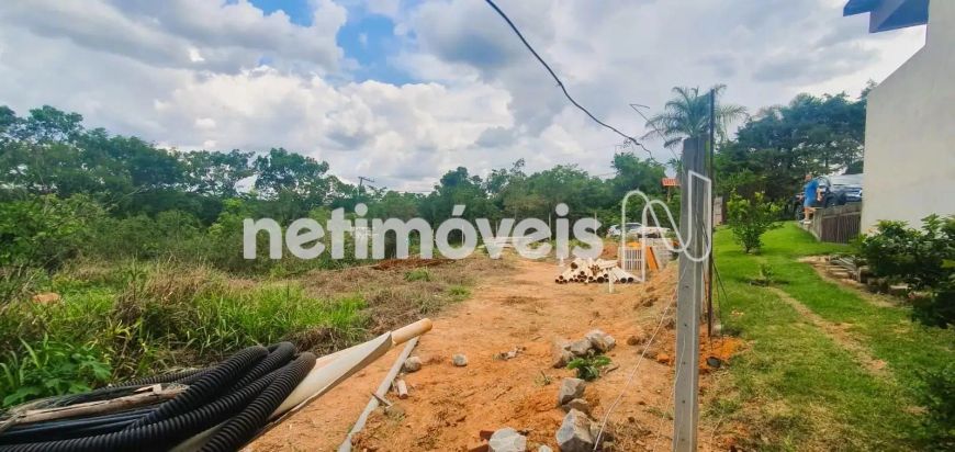 Venda Lote-Área-Terreno Vila Ipê Amarelo Contagem