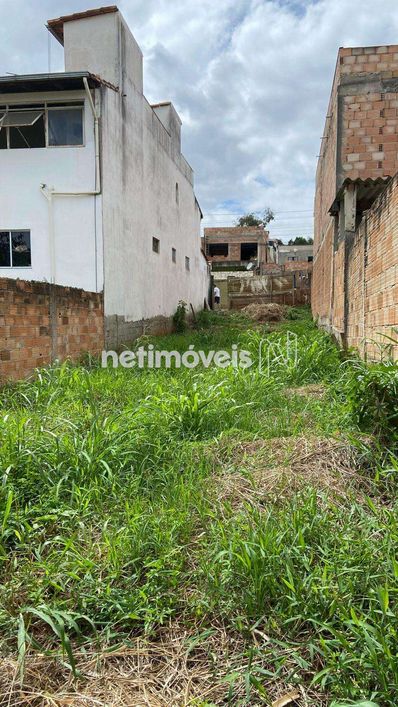 Venda Lote-Área-Terreno Nossa Senhora da Conceição Contagem