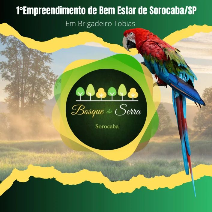 Condomínio Bosque da Serra: O Lar dos Seus Sonhos
