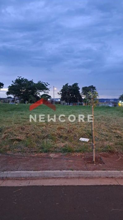 Lote em Rua dos Cozinheiros - São Lourenço - Londrina/PR