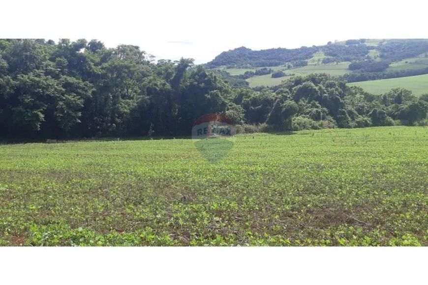 Sítio Com Seis Alqueires