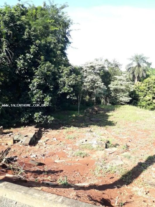 Terreno para Venda em Londrina, Parque Jamaica