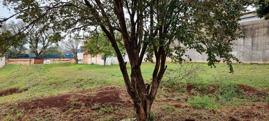 Terreno zoneamento comercial 3, na rua João Pessoa próximo a Quintino Bocaiuva - 480m²