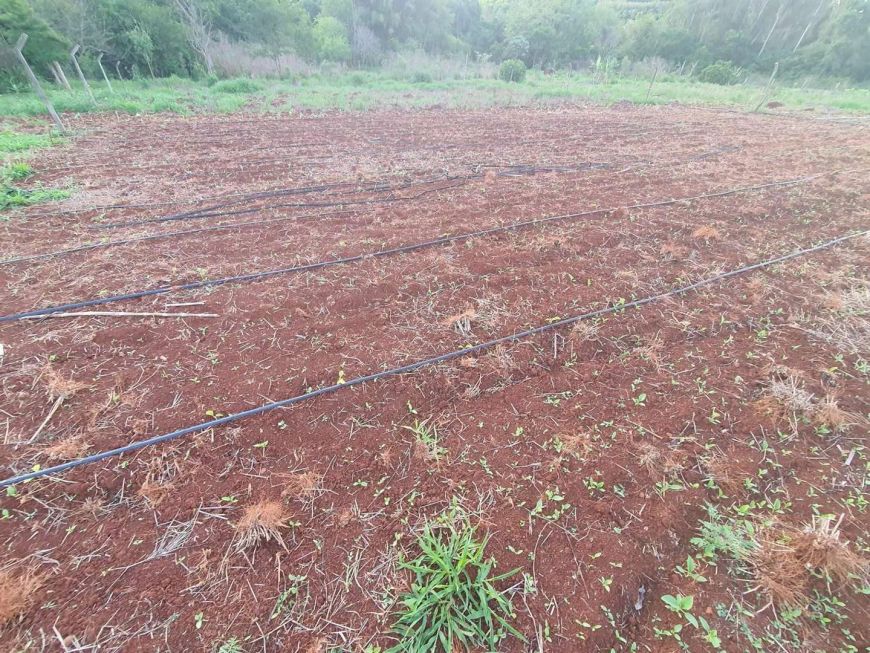 Chácara em ESTRADA SELVA TRES BOCAS LOTE 10 SUBLOTE 2 - Patrimônio Selva - Selva/PR