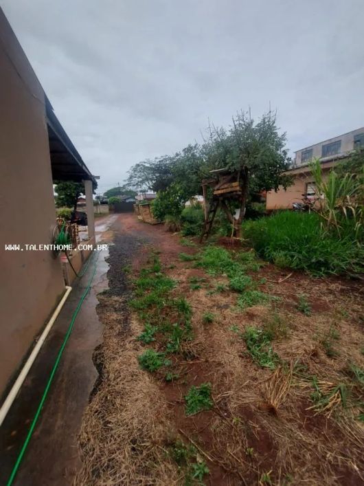 Terreno para Venda em Londrina, Jardim Meton