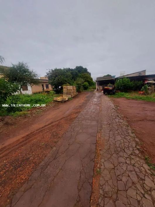 Terreno para Venda em Londrina, Jardim Meton