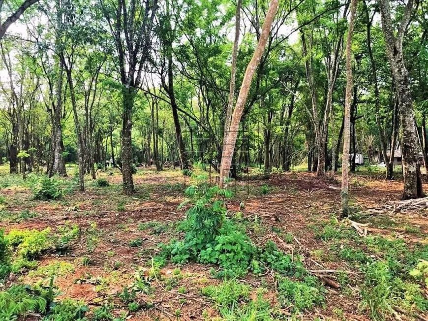 Terreno à venda, 29202 m² por R$ 7.300.500,00 - Gleba Palhano - Londrina/PR