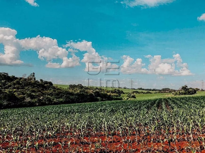 Terreno Residencial à venda, Indústrias Leves, Londrina - TE0509.
