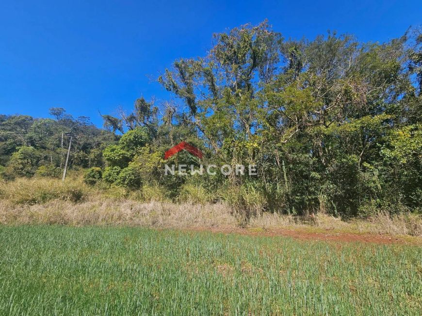 Sítio em Estrada do Galo - Patrimônio Selva - Selva/PR