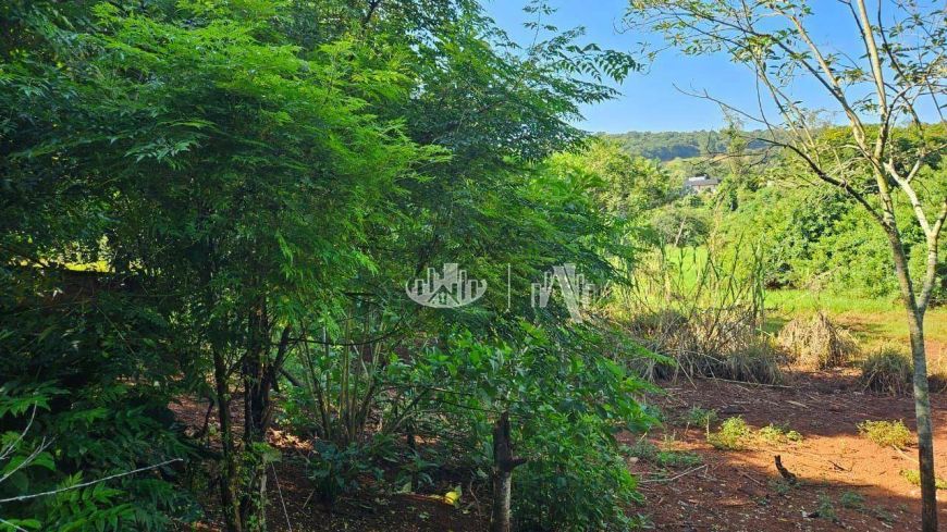 Chácara à venda, 12.800 m² por R$ 1.200.000 - Chácaras São Miguel - Londrina/PR