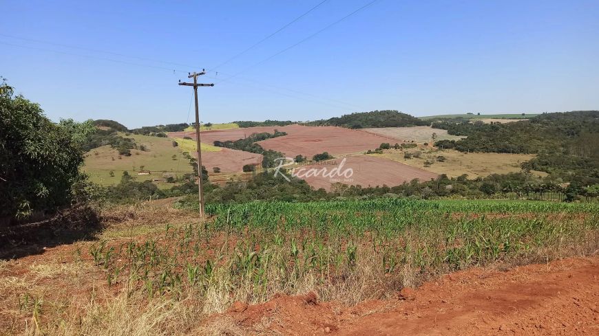 Chácara à venda 308550M², Área Rural de Londrina, Londrina - PR