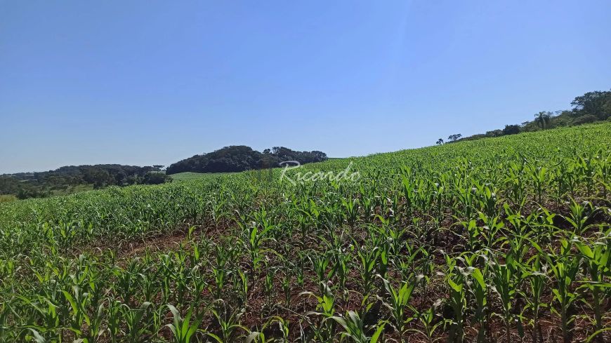 Chácara à venda 308550M², Área Rural de Londrina, Londrina - PR