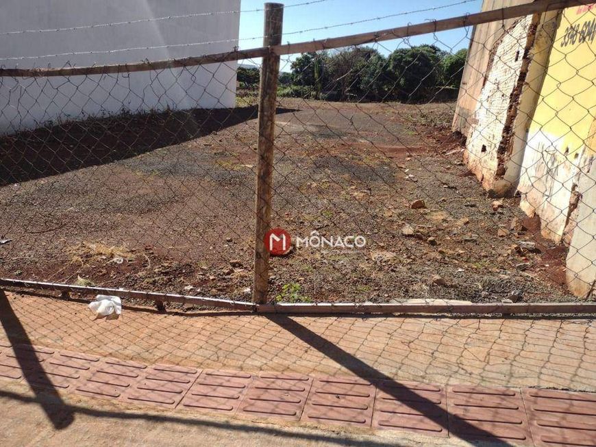 Terreno à venda, 3 m² por R$ 4.600.000,00 - Andes - Londrina/PR