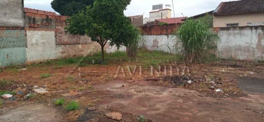 Excelente terreno plano de 351m² na Vila Fraternidade, Londrina.