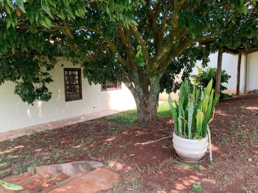 Casa à Venda no Jardim Itatiaia, Londrina - 2 Quartos, Ótima Localização!