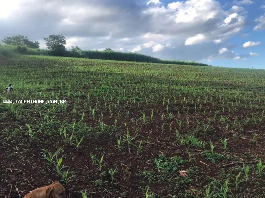 Área Rural para Venda em Londrina, Guairaçá