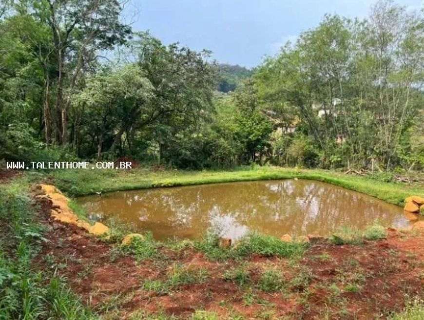 Área Rural para Venda em Londrina, Zona Rural