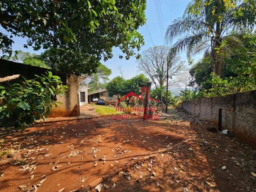 Chácara com 1 dormitório à venda, 6000 m² por R$ 2.500.000 - Conjunto Vivi Xavier - Londrina/PR