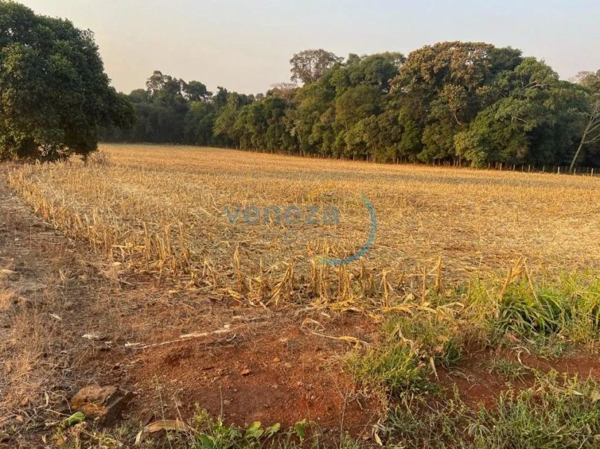 Chácaras_Prop rurais à venda por R$ 5500000.00, 75725.73 m2 - RURAL - LONDRINA/PR