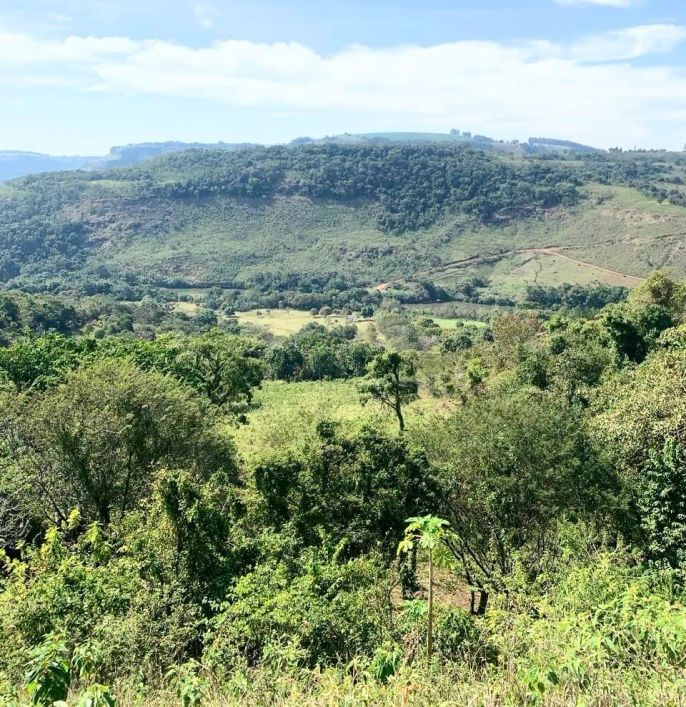 Chácara à venda com 1 alqueires paulista, Lerroville, PR