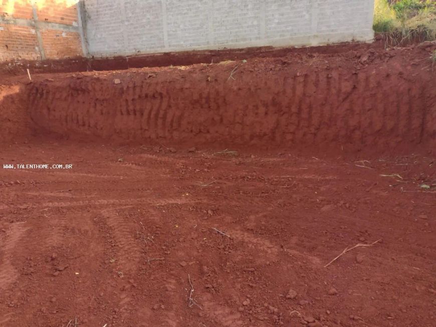 Terreno para Venda em Londrina, Jardim Maria Celina