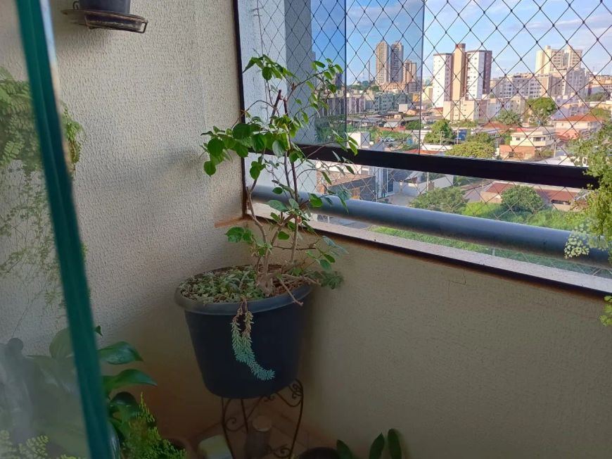 Apartamento 2 Qts enfrente ao Buriti Shopping. Apartamento com 2 Quarto(s) e 2 banheiro(s) à Venda,