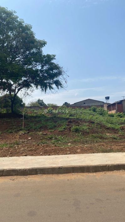 Lote Vila Oliveira 531m²