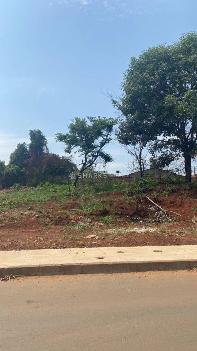 Lote Vila Oliveira 531m²