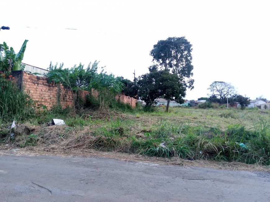 LOTE CIDADE VERA CRUZ,390 MT.
