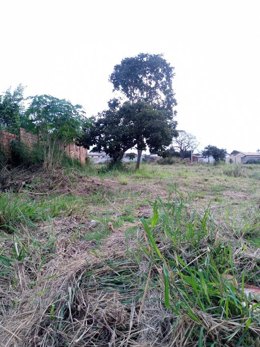 LOTE CIDADE VERA CRUZ,390 MT.