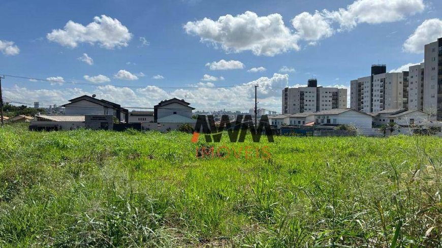 Área à venda, 2010 m² por R$ 1.100.000,00 - Vila Alzira - Aparecida de Goiânia/GO