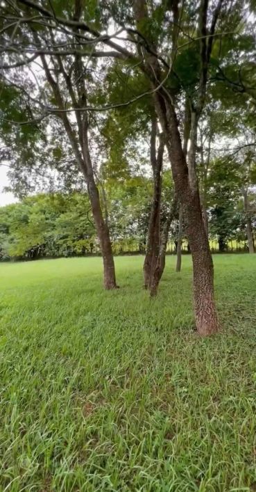 Chácara 3 dormitórios à venda Setor Marista Sul Aparecida de Goiânia/GO
