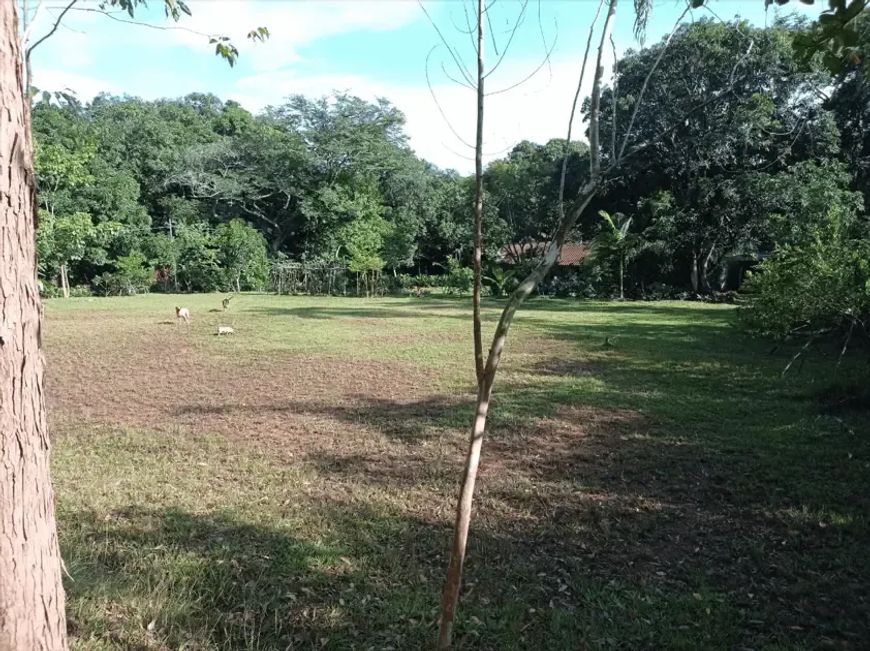 Chácara em Aparecida de Goiânia codigo: 15353