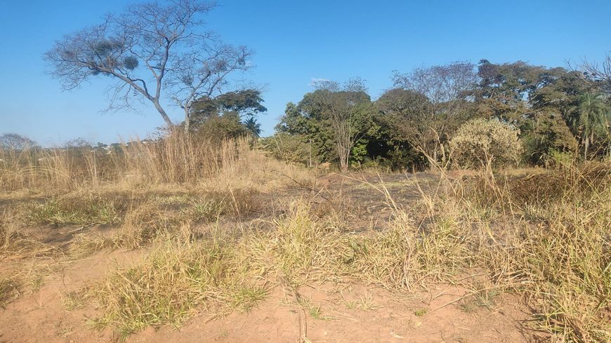 dois lote jardim buriti sereno 845 metros os dois sendo asfaltado agora a avenida proximo