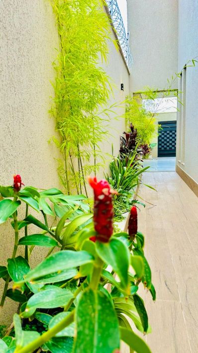 Vendo casa alto padrão com 3 quartos 1 suíte na vila brasilia próximo ao buriti shopping