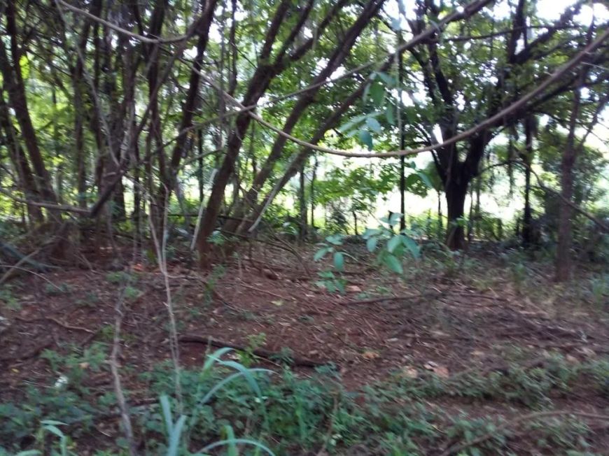 TERRENO - Terreno Comercial