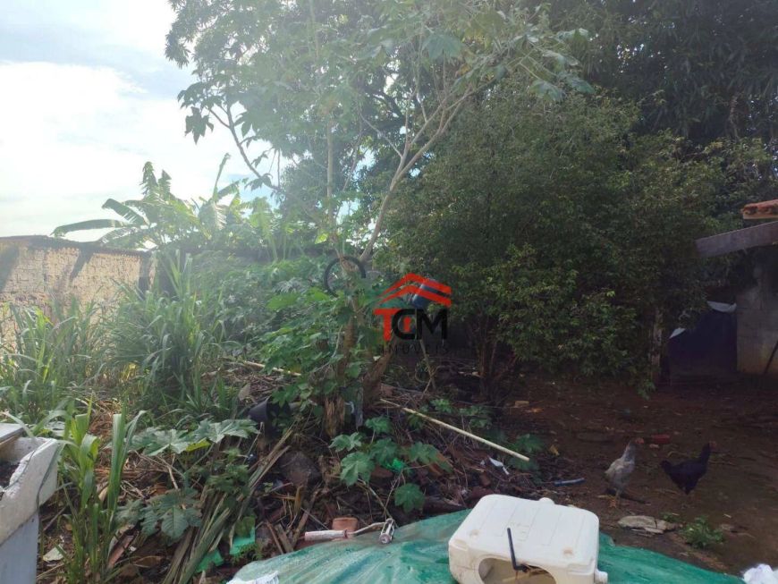 Terreno à venda, 768 m² por R$ 1.000.000 - Setor Garavelo - Aparecida de Goiânia/GO