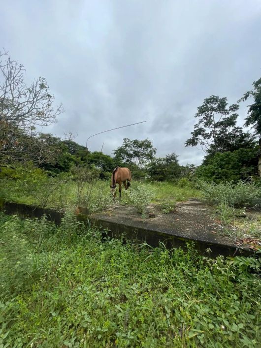 Imóvel para venda possui 2118 metros quadrados em Parque Veiga Jardim - Aparecida de Goiânia - GO