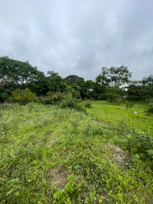 Imóvel para venda possui 2118 metros quadrados em Parque Veiga Jardim - Aparecida de Goiânia - GO