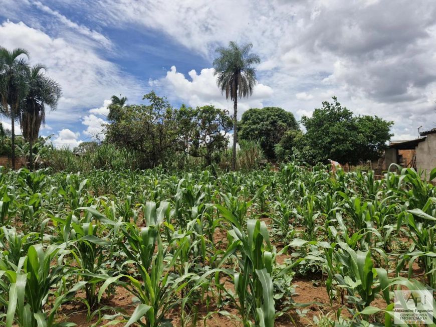 Lote para Venda em Aparecida de Goiânia, Jardim Cristal