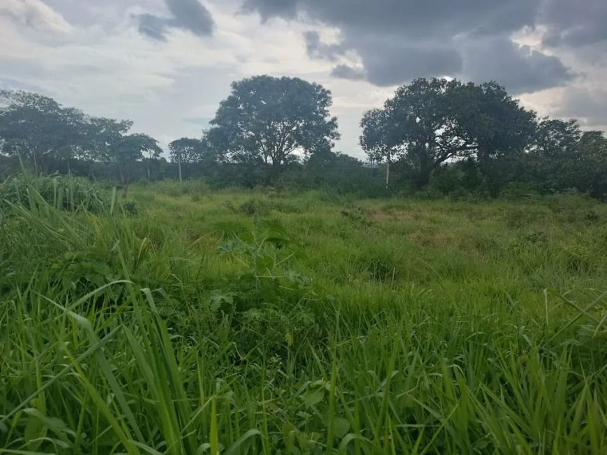 Lote de 429 m² à venda por R$ 75.000 no Jardim Dom Bosco - Aparecida de Goiânia