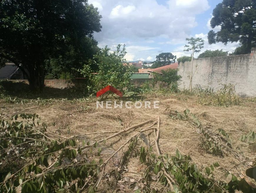 Lote em Rua Nunes Machado - Centro - Curitiba/PR