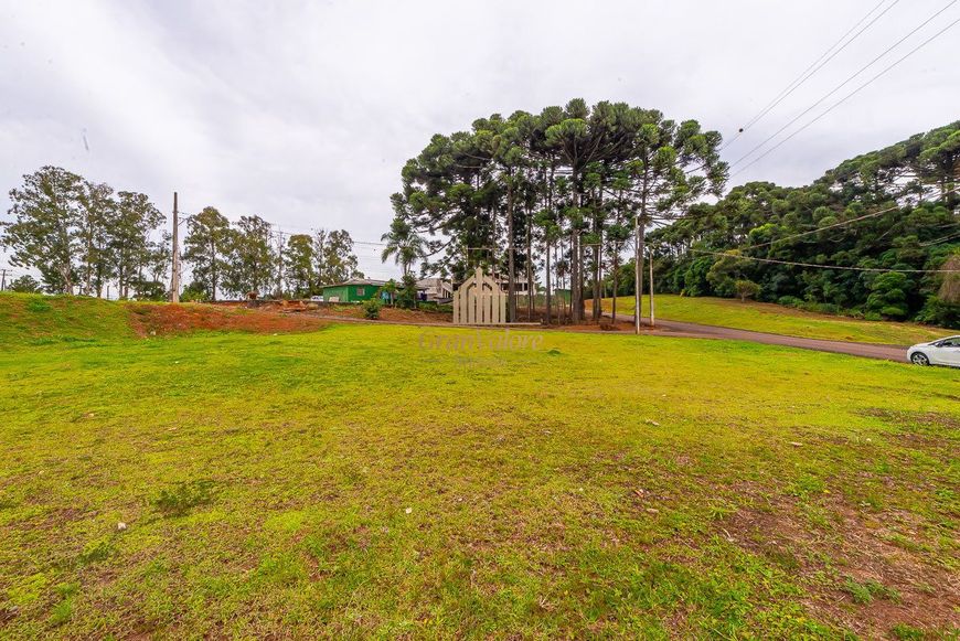 Terreno em condomínio estruturado com área de preservação.