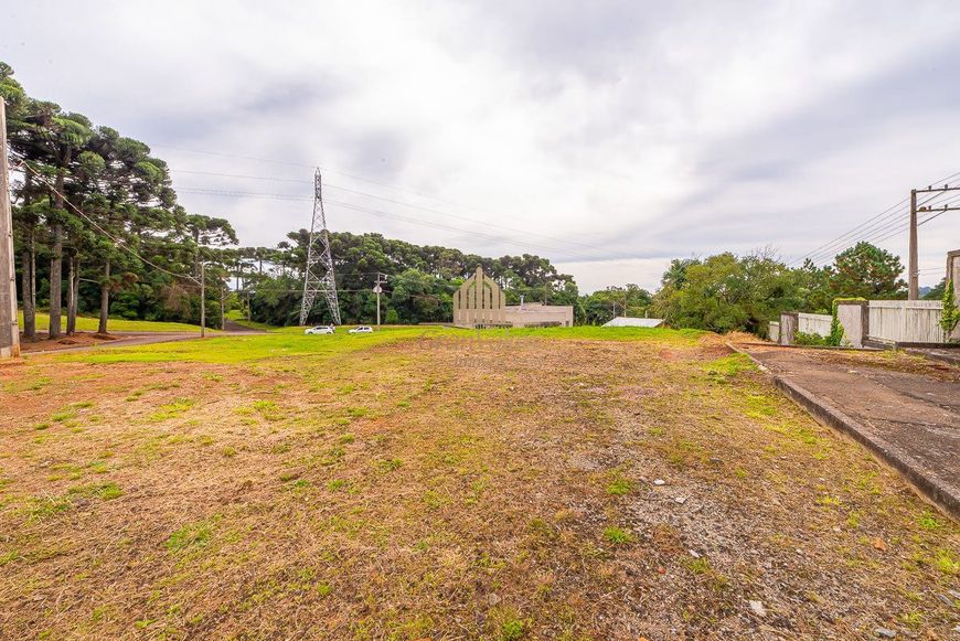 Terreno em condomínio estruturado com área de preservação.