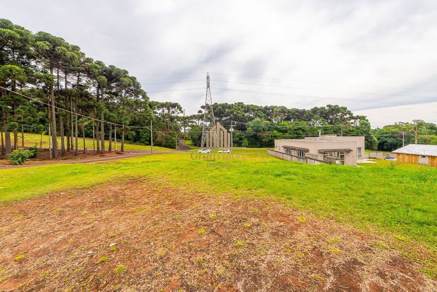 Terreno em condomínio estruturado com área de preservação.