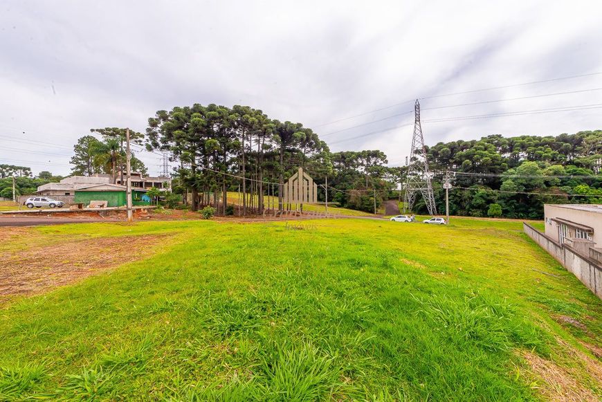 Terreno em condomínio estruturado com área de preservação.