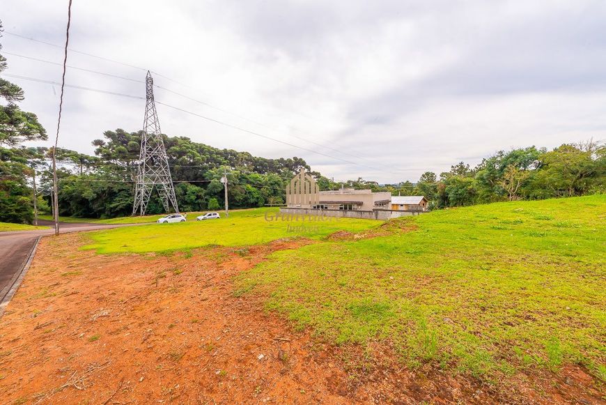 Terreno em condomínio estruturado com área de preservação.